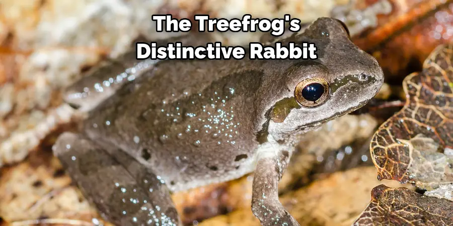 The Treefrog's 
Distinctive Rabbit