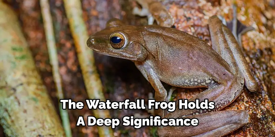 The Waterfall Frog Holds A Deep Significance