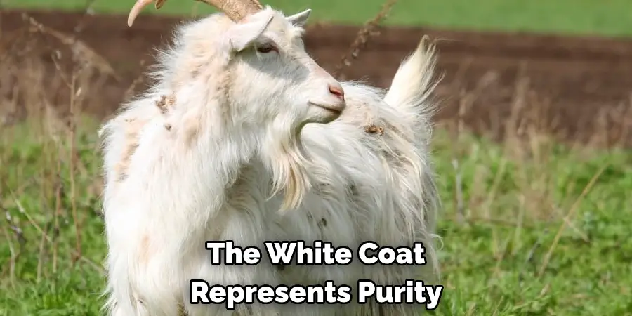 The White Coat Represents Purity
