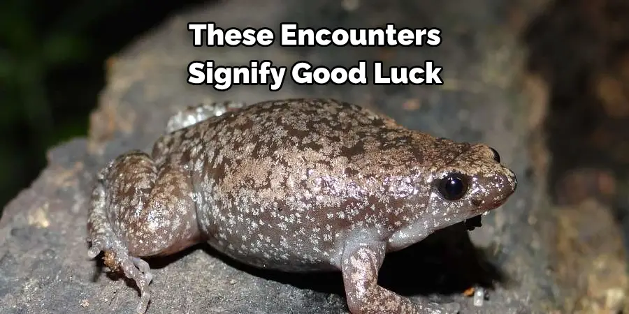 These Encounters 
Signify Good Luck