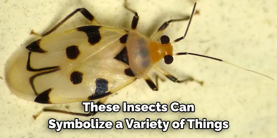 These Insects Can 
Symbolize a Variety of Things