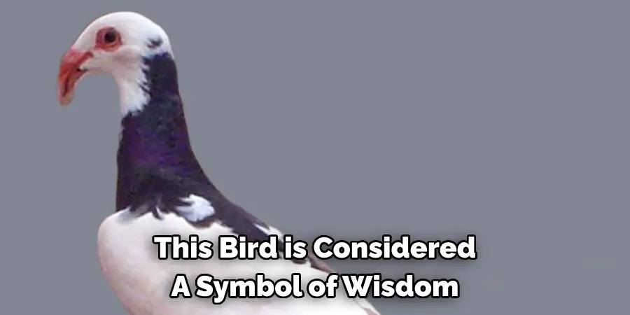 This Bird is Considered 
A Symbol of Wisdom
