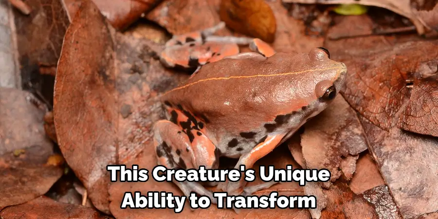 This Creature's Unique 
Ability to Transform