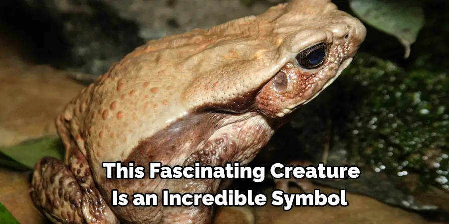 This Fascinating Creature 
Is an Incredible Symbol 