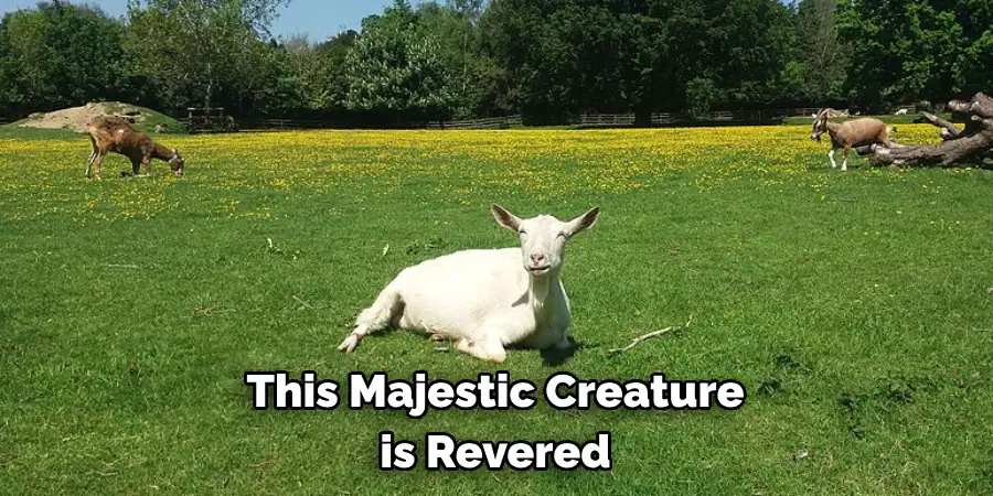 This Majestic Creature is Revered