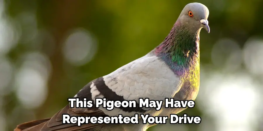 This Pigeon May Have 
Represented Your Drive