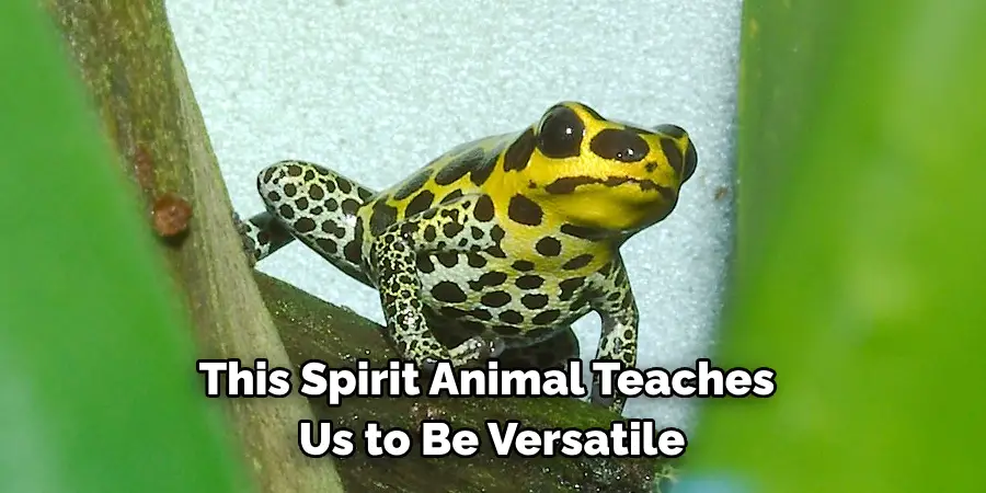 This Spirit Animal Teaches 
Us to Be Versatile