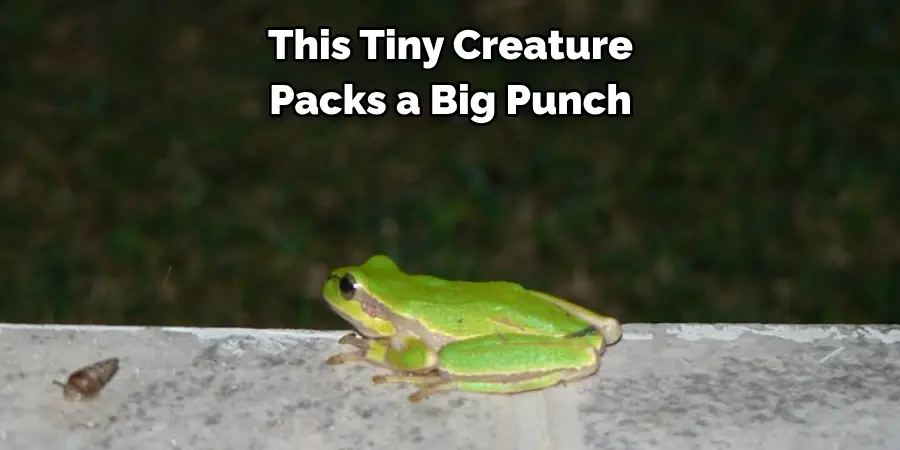 This Tiny Creature 
Packs a Big Punch