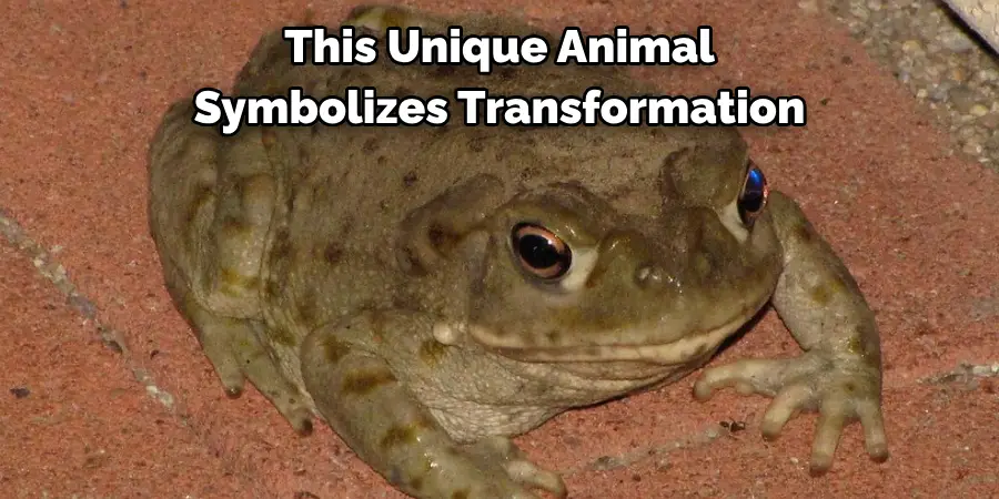 This Unique Animal Symbolizes Transformation