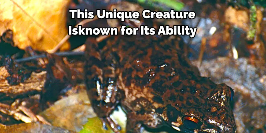 This Unique Creature
Isknown for Its Ability
