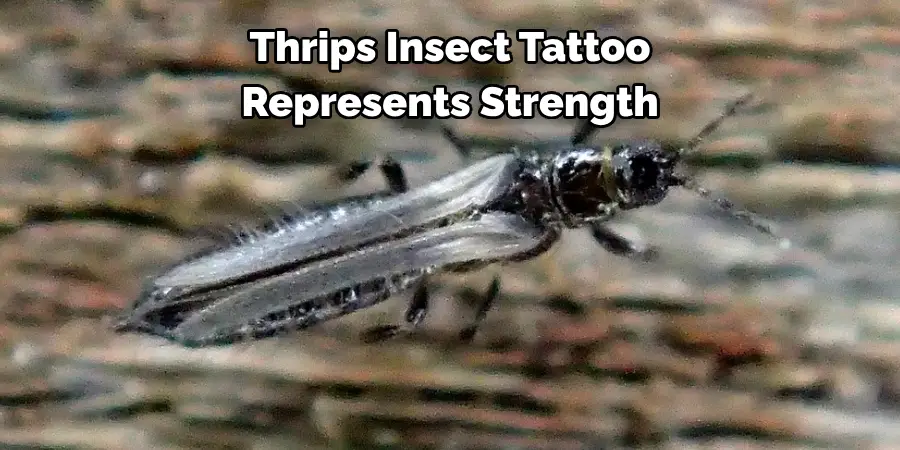 Thrips Insect Tattoo 
Represents Strength