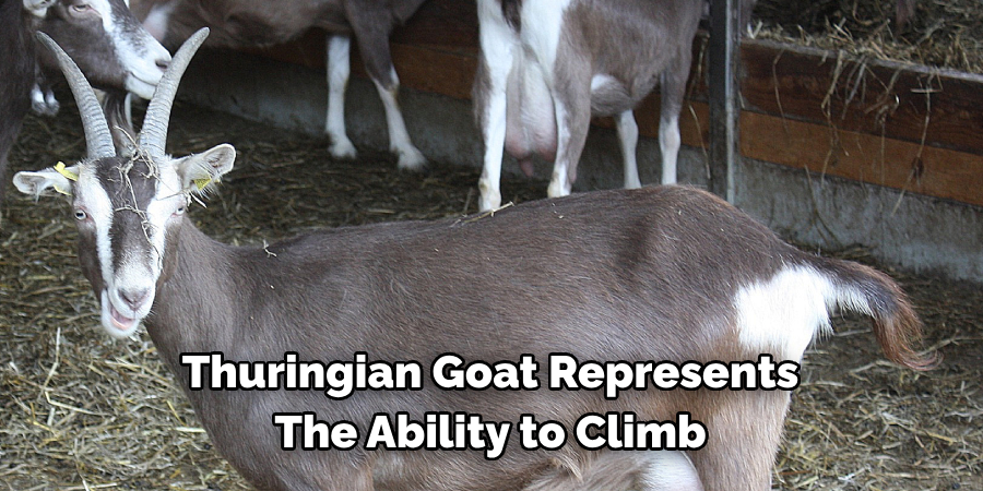 Thuringian Goat Represents 
The Ability to Climb