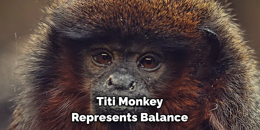 Titi Monkey Represents Balance