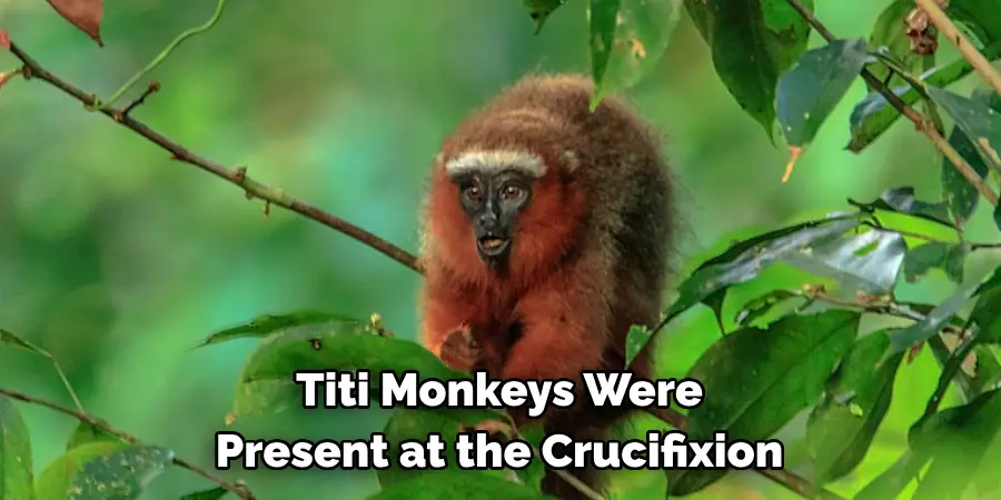 Titi Monkeys Were 
Present at the Crucifixion