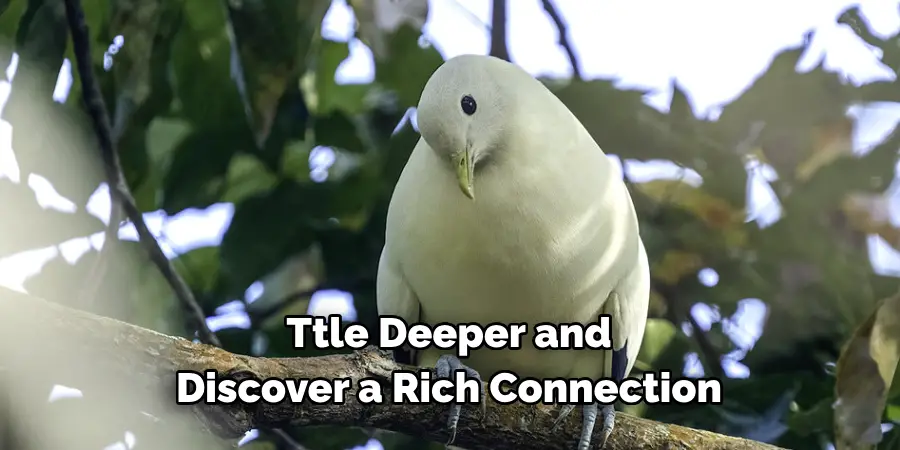 Ttle Deeper and 
Discover a Rich Connection