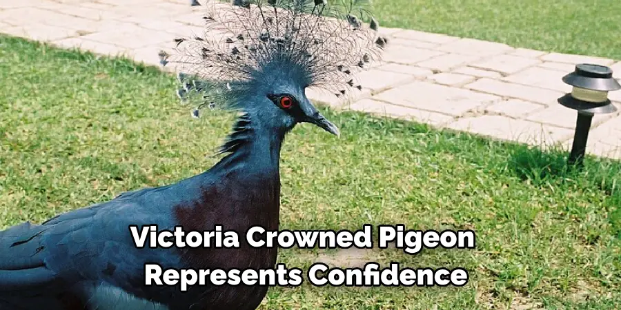Victoria Crowned Pigeon
 Represents Confidence
