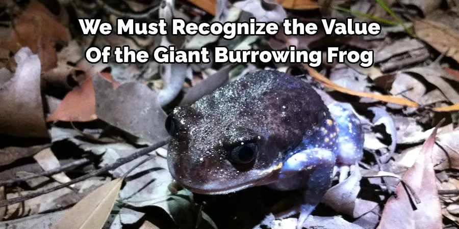 We Must Recognize the Value 
Of the Giant Burrowing Frog