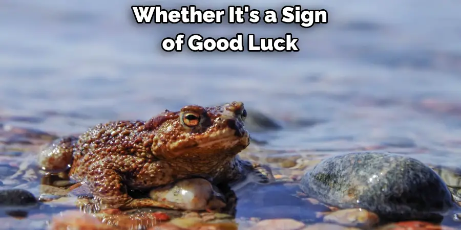 Whether It's a Sign
of Good Luck