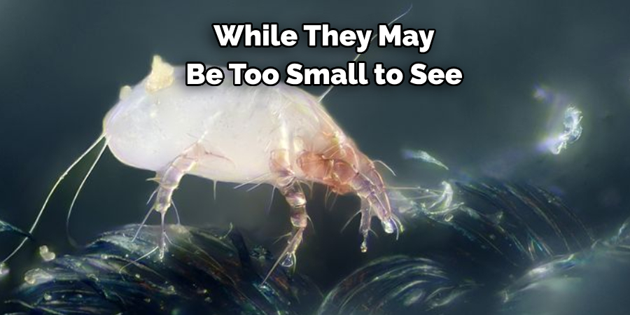 While They May 
Be Too Small to See