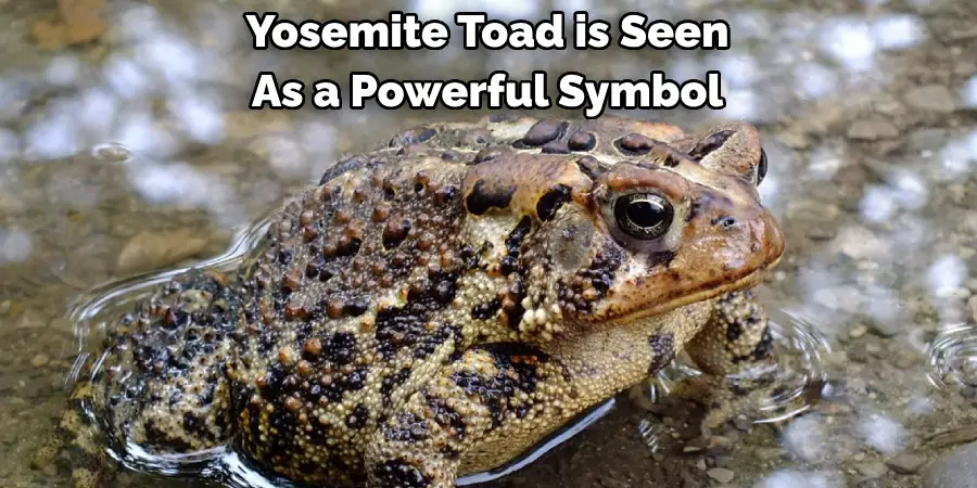 Yosemite Toad is Seen 
As a Powerful Symbol