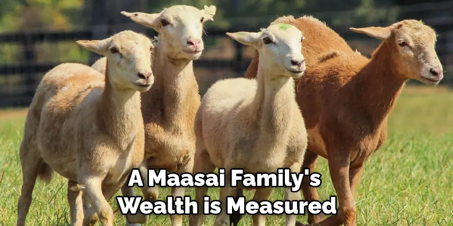 A Maasai Family's 
Wealth is Measured