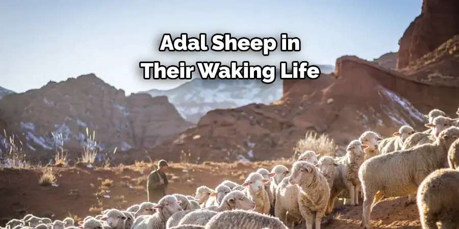 Adal Sheep in 
Their Waking Life