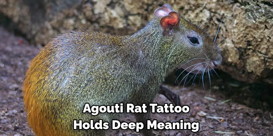 Agouti Rat Tattoo Holds Deep Meaning