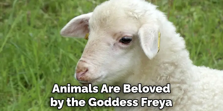 Animals Are Beloved by the Goddess Freya