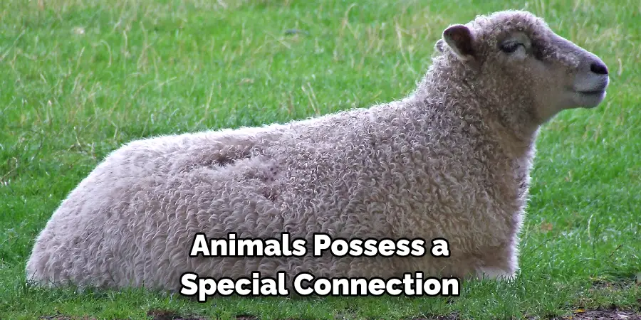 Animals Possess a
Special Connection