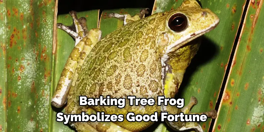 Barking Tree Frog symbolizes good fortune