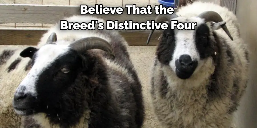 Believe That the 
Breed's Distinctive Four