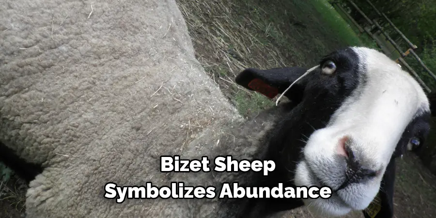 Bizet Sheep 
Symbolizes Abundance