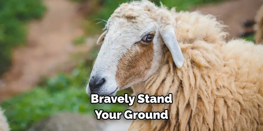 Bravely Stand Your Ground