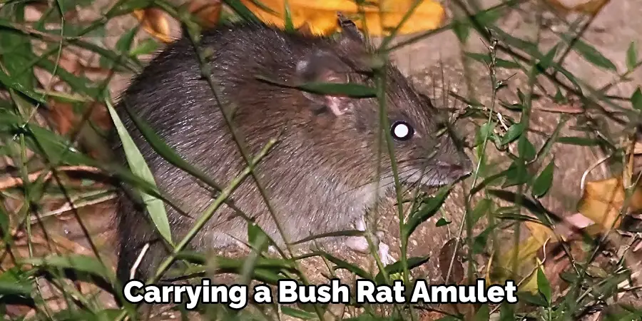 Carrying a Bush Rat Amulet