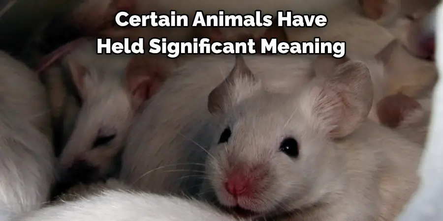 Certain Animals Have 
Held Significant Meaning