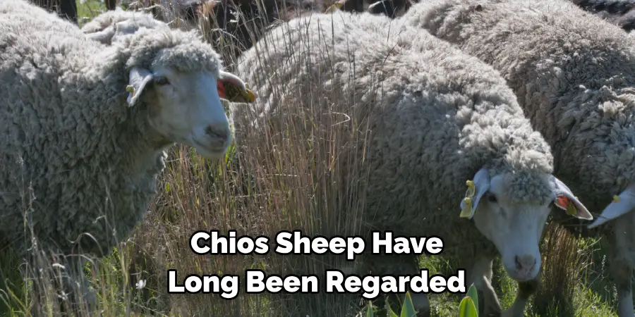 Chios Sheep Have 
Long Been Regarded