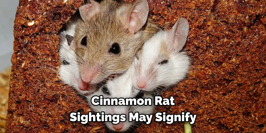 Cinnamon Rat 
Sightings May Signify