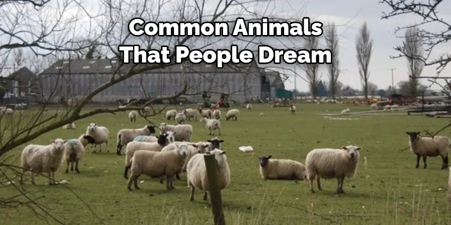 Common Animals 
That People Dream