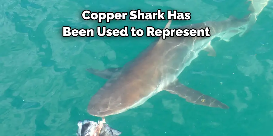 Copper Shark Has 
Been Used to Represent