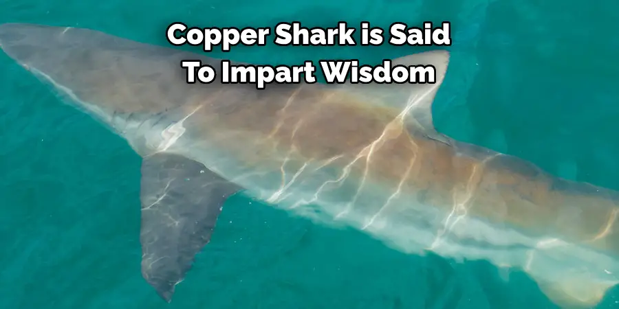 Copper Shark is Said 
To Impart Wisdom