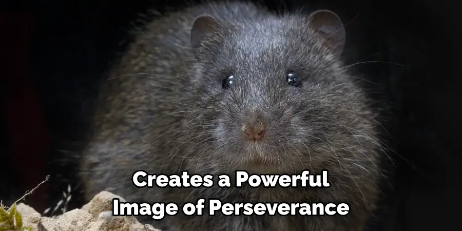 Creates a Powerful Image of Perseverance