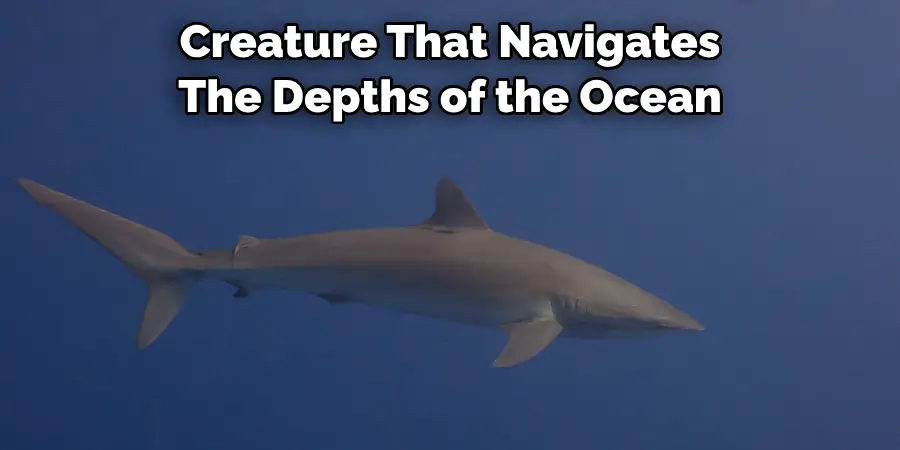 Creature That Navigates 
The Depths of the Ocean
