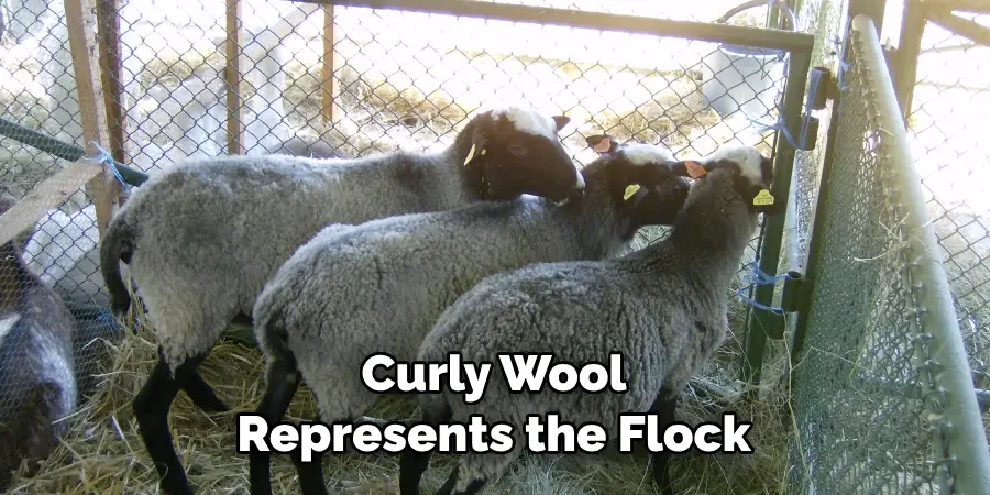 Curly Wool 
Represents the Flock