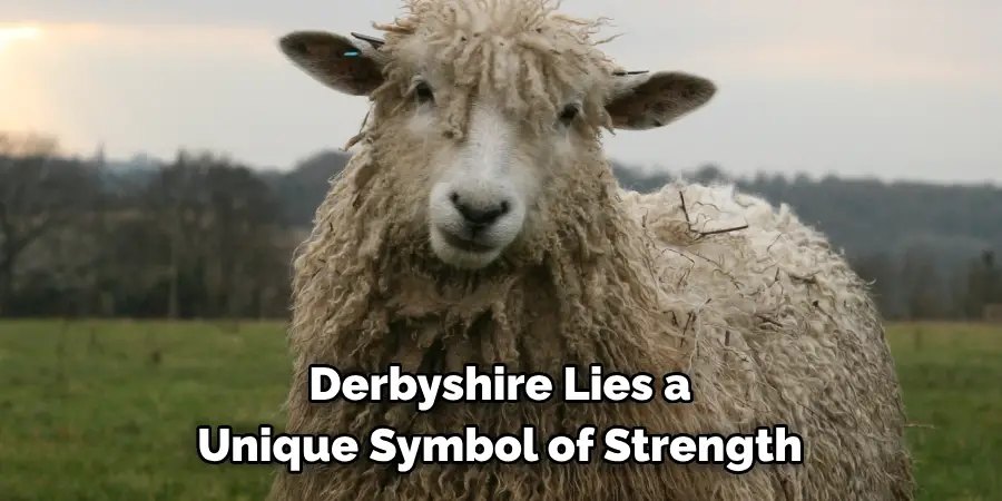 Derbyshire Lies a 
Unique Symbol of Strength