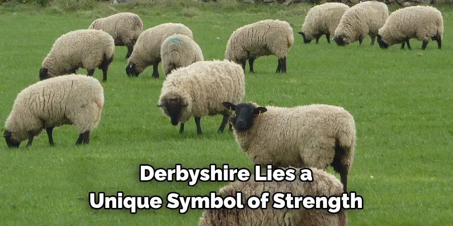 Derbyshire Lies a
Unique Symbol of Strength