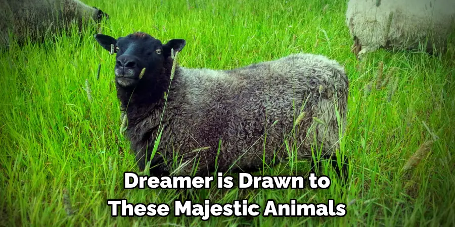 Dreamer is Drawn to 
These Majestic Animals