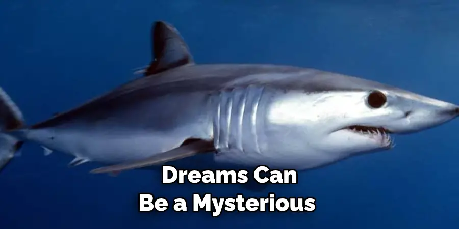 Dreams Can 
Be a Mysterious 