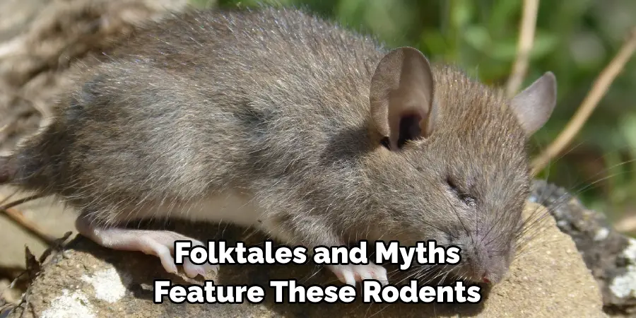 Folktales and Myths
Feature These Rodents