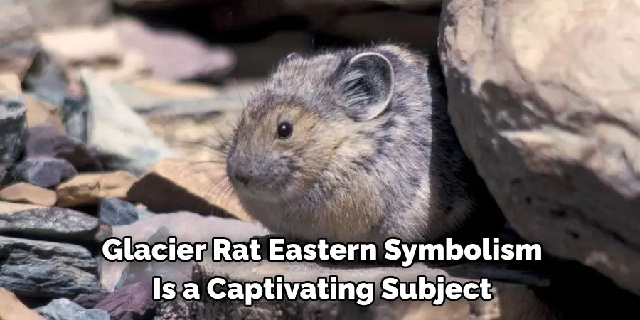 Glacier Rat Eastern Symbolism 
Is a Captivating Subject