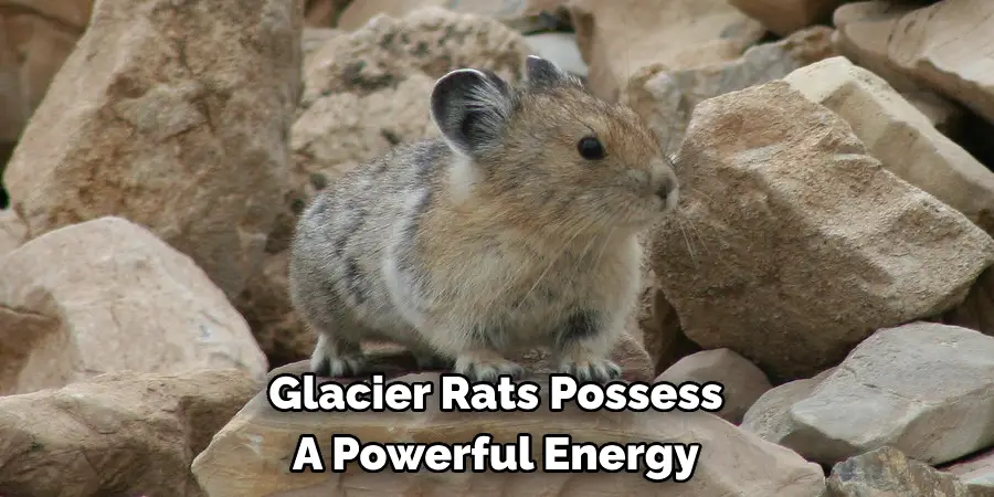Glacier Rats Possess 
A Powerful Energy